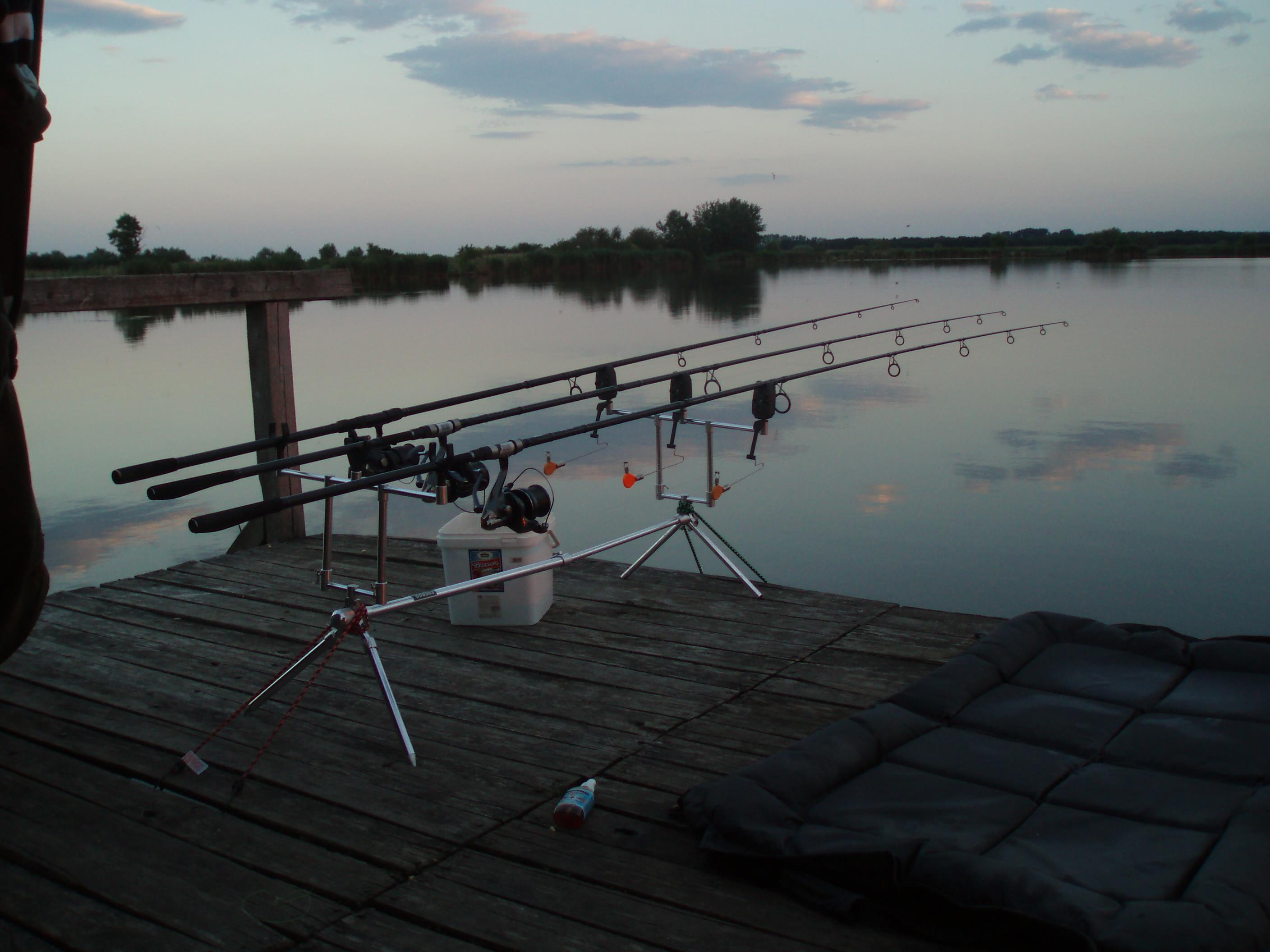 ohat3 - P1010010.JPG